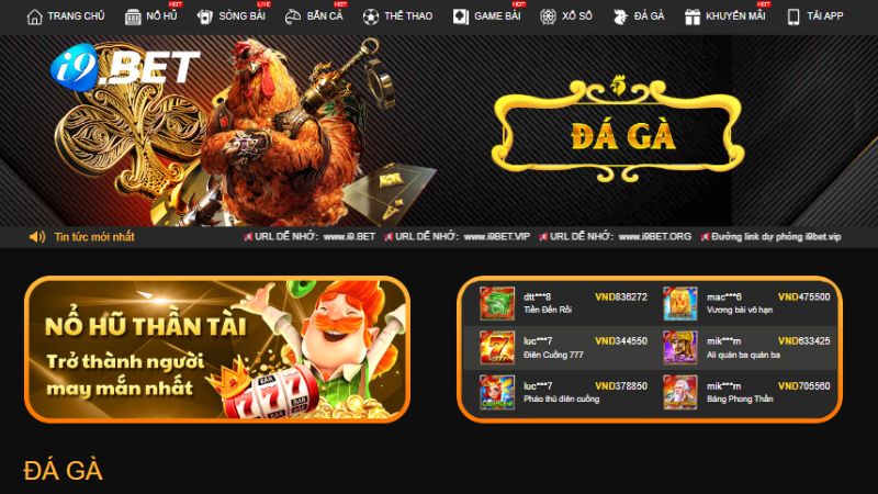 Danh mục đá gà online i9BET