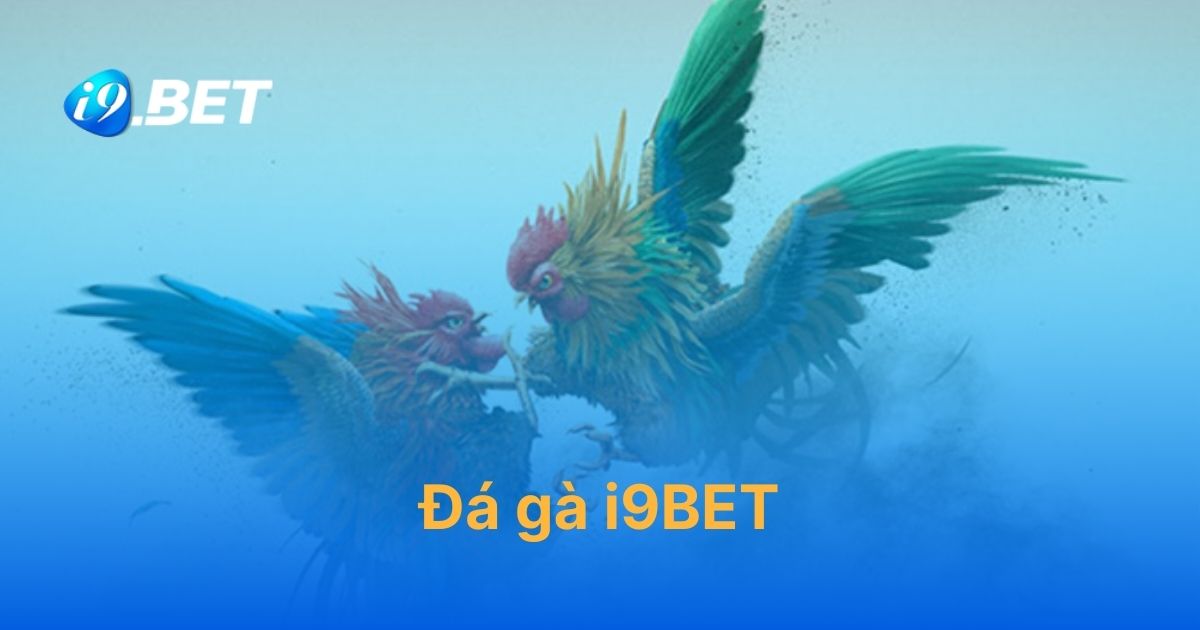 Đá gà i9BET