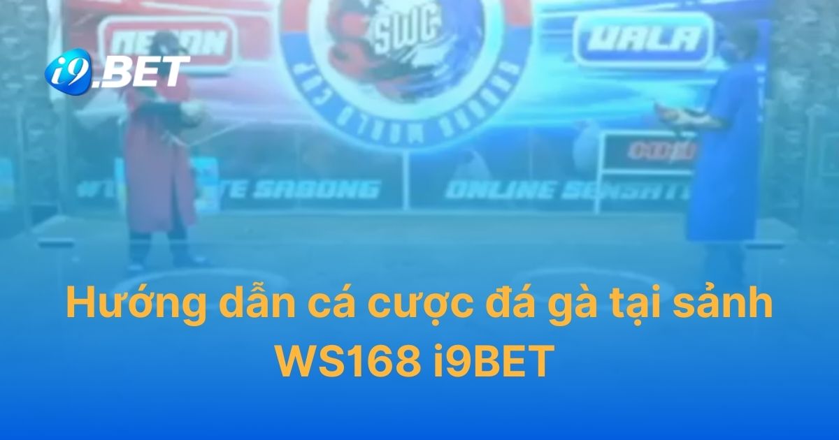 Hướng dẫn cá cược đá gà tại sảnh WS168 i9BET