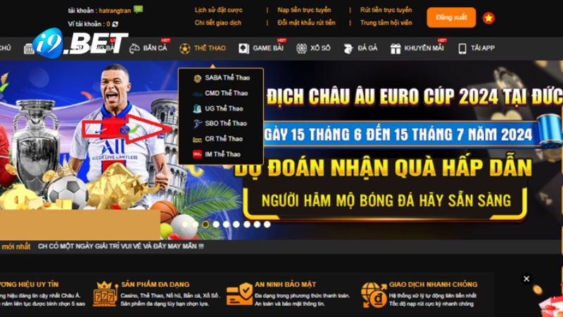 Bạn có thể lựa chọn 1 trong 6 sảnh thể thao online i9BET